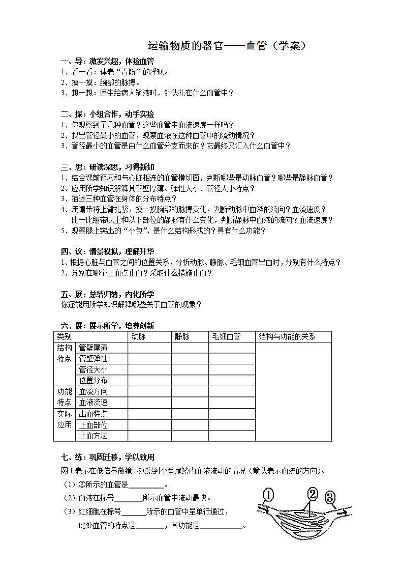4.4.2 血流的管道——血管 课件01