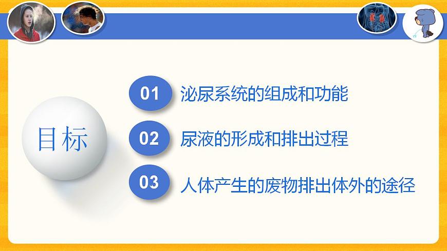 4.5 人體內(nèi)廢物的排出-課件（人教版）第2頁(yè)