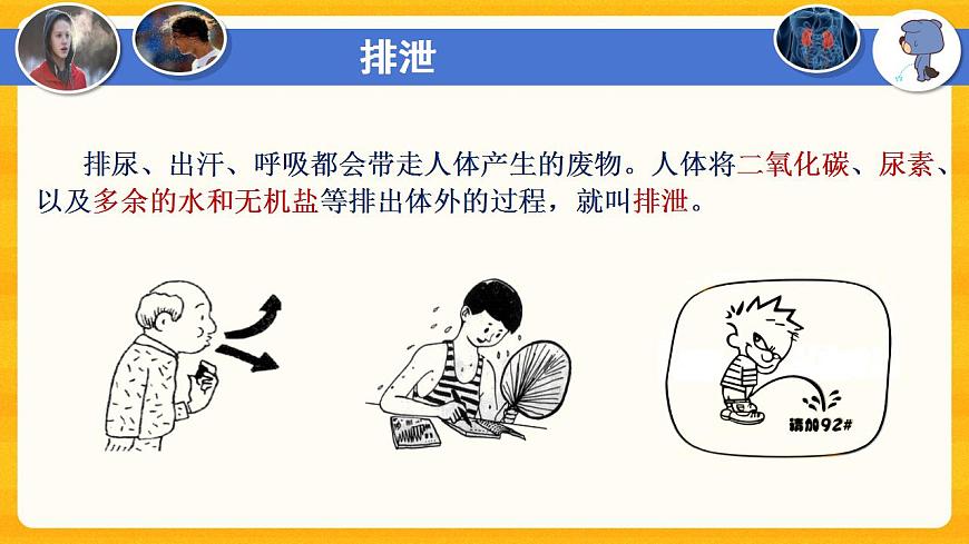 4.5 人體內(nèi)廢物的排出-課件（人教版）第5頁(yè)