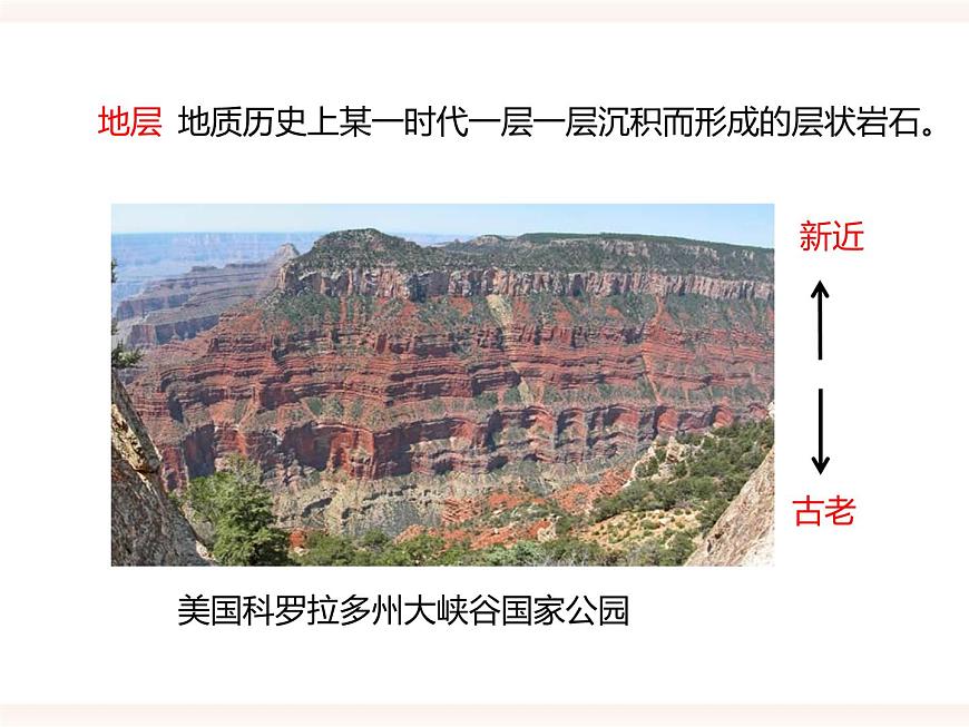 第六單元第三章第二節(jié)(一)《生物進化的歷程》課件第7頁