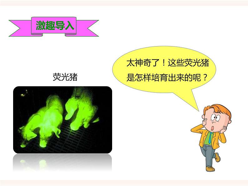 第六单元第四章《现代生物技术》(课件)第2页