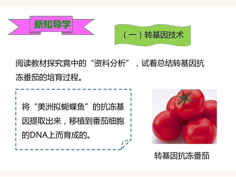 第六单元第四章《现代生物技术》(课件)第3页