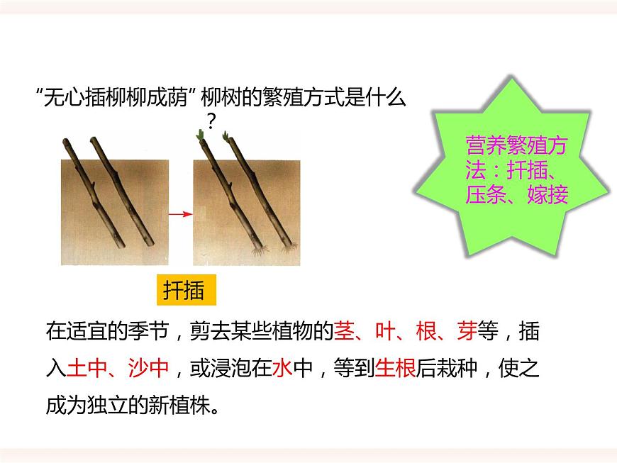 第一章第一節(jié) 被子植物的生殖（二）無性生殖（課件）第8頁