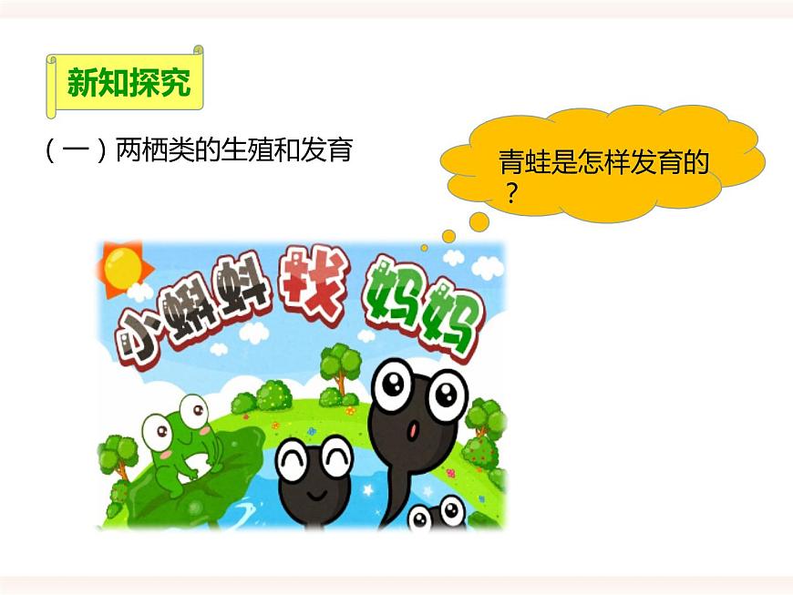 第六單元第一章第二節(jié)（二）兩棲類、鳥類的生殖和發(fā)育（課件）第3頁