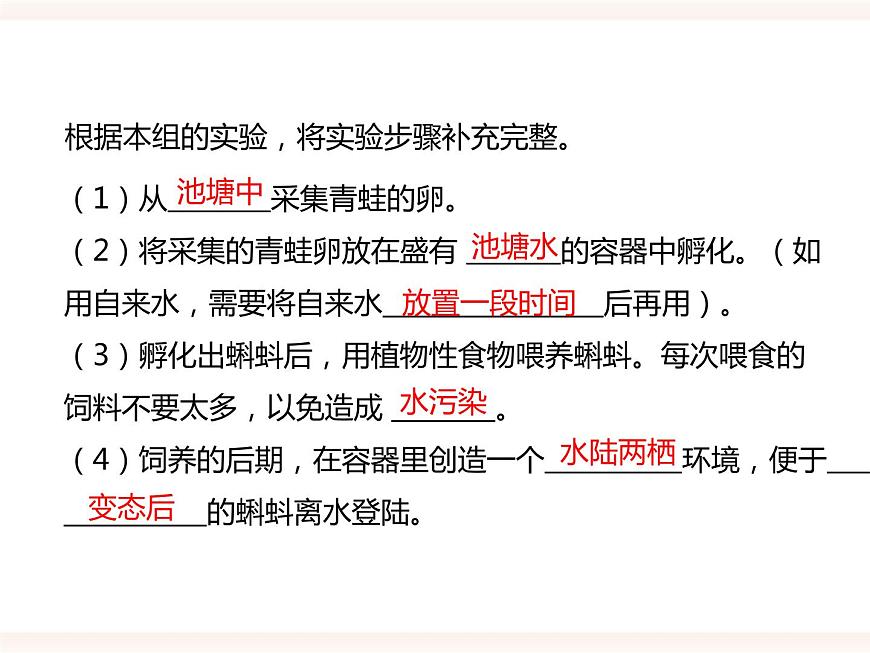 第六單元第一章第二節(jié)（二）兩棲類、鳥類的生殖和發(fā)育（課件）第4頁