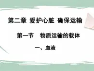 冀教版生物七年级下册 2.1物质运输的载体 课件