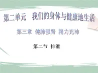 冀教版生物七年级下册 3.2排泄 课件