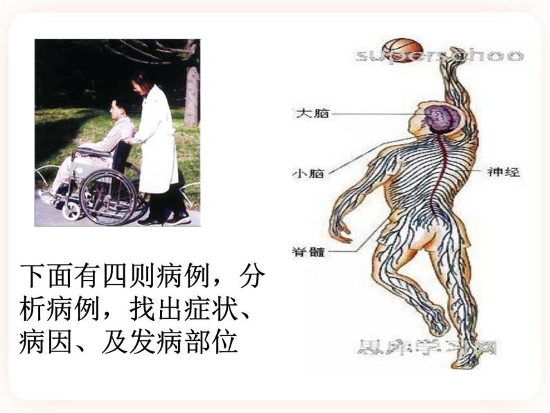 4.2信息的传递 课件03