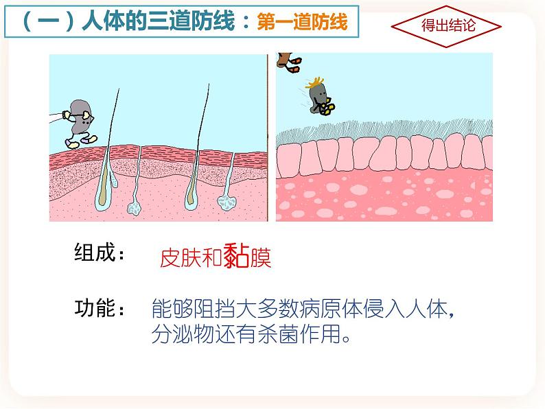冀教版生物七年级下册 6.1免疫 课件06