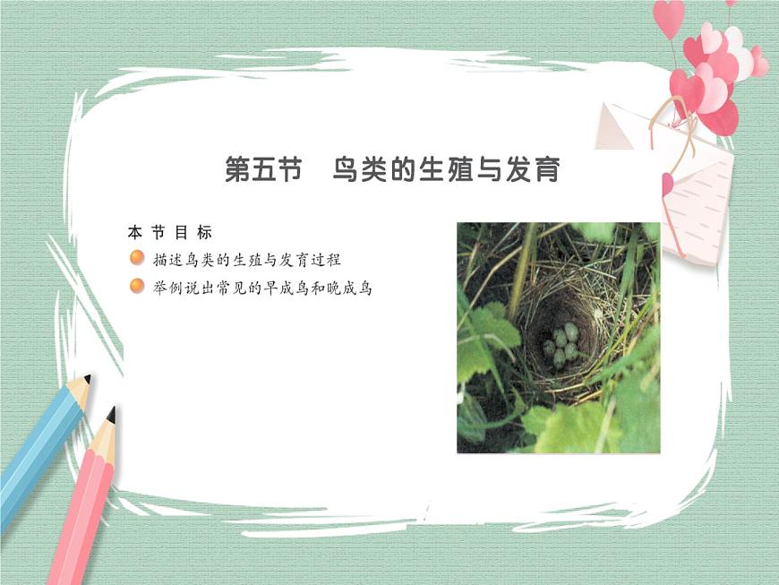 21.5鳥類的生殖與發(fā)育 課件第1頁