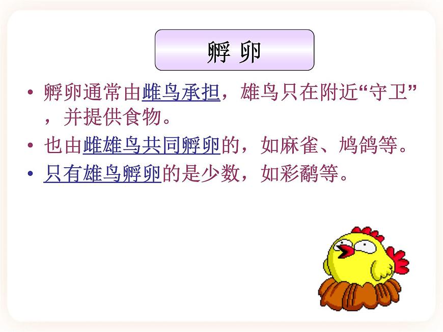 21.5鳥類的生殖與發(fā)育 課件第7頁