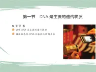 22.1dna是主要的遗传物质 课件