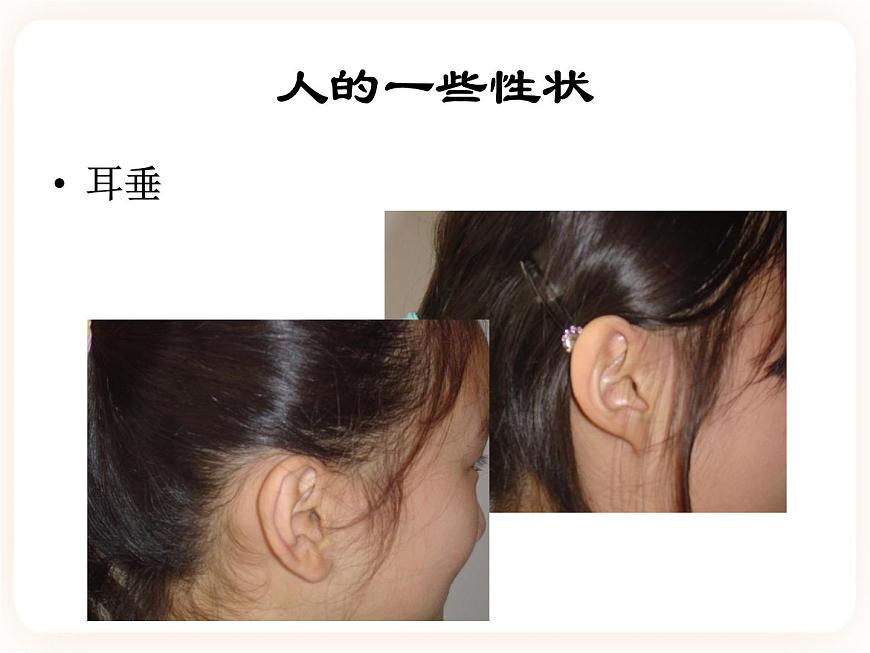 22.1dna是主要的遺傳物質(zhì) 課件第6頁