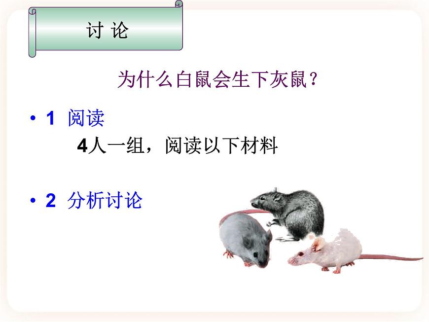 22.1dna是主要的遺傳物質(zhì) 課件第7頁