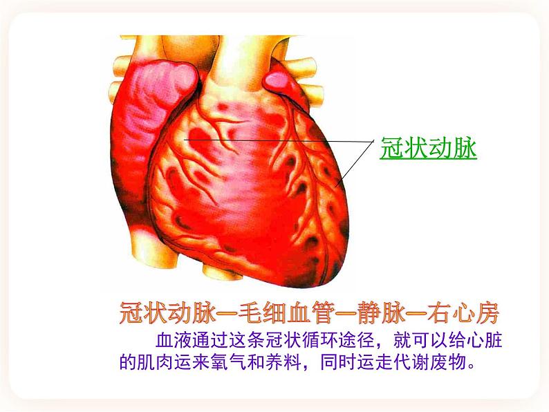 25.2威胁健康的主要疾病 课件05