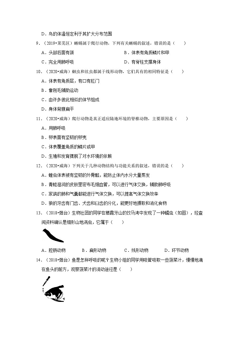 五年山东中考生物真题分类汇编---动物的类群第3页