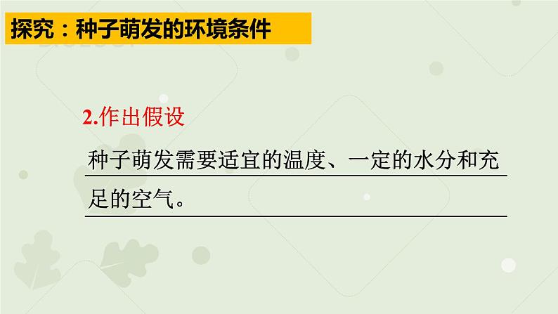 3.2.1种子的萌发:第1课时(教学课件)-2022-2023学年人教版生物七年级上册07