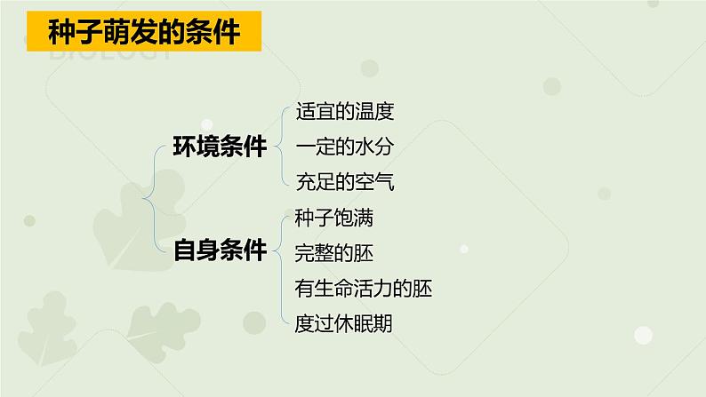3.2.1种子的萌发:第2课时(教学课件)-2022-2023学年人教版生物七年级上册第7页