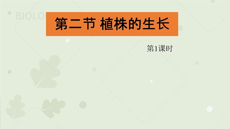 3.2.2植株的生长:第1课时(教学课件)-2022-2023学年人教版生物七年级上册01