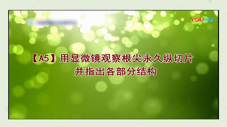 3.2.2植株的生长:第1课时(教学课件)-2022-2023学年人教版生物七年级上册08