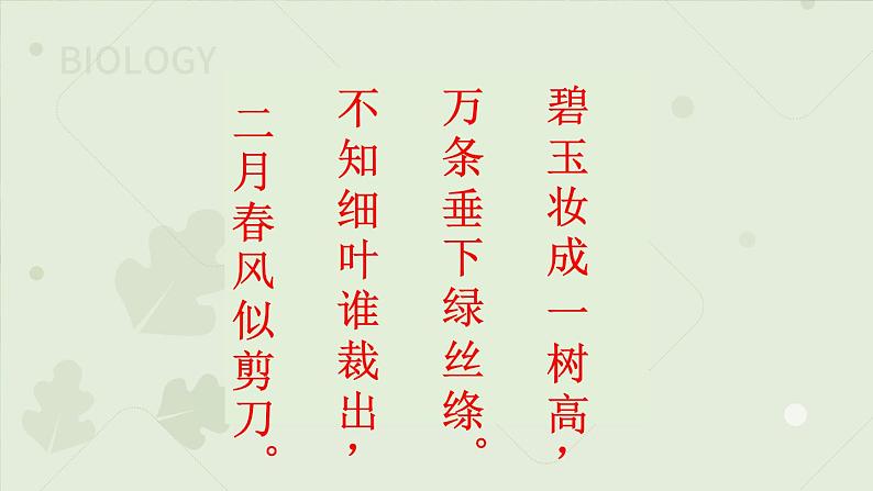 3.2.2植株的生长:第2课时(教学课件)-2022-2023学年人教版生物七年级上册第3页