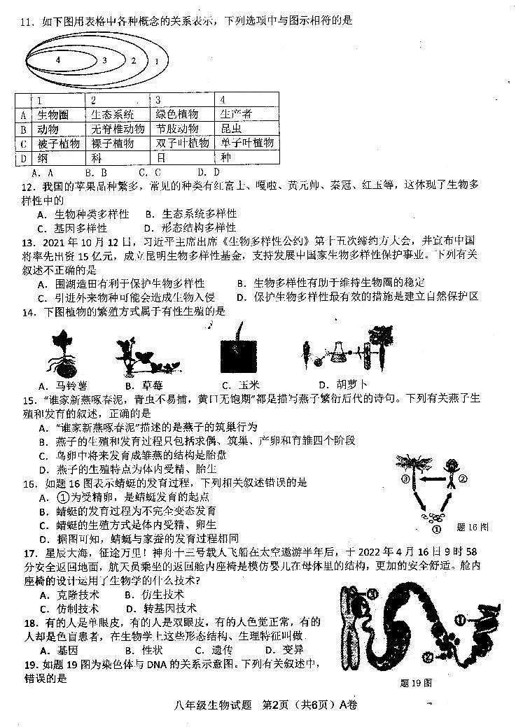 广东省阳江市江城区2022-2023学年第一学期八年级生物期末质量监测(扫描版,含答案)02