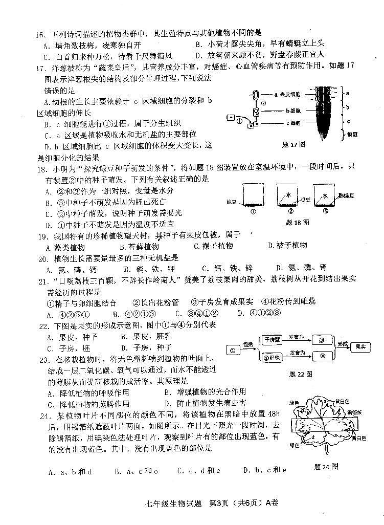 广东省阳江市江城区2022-2023学年第一学期七年级生物期末质量监测(扫描版,含答案)03