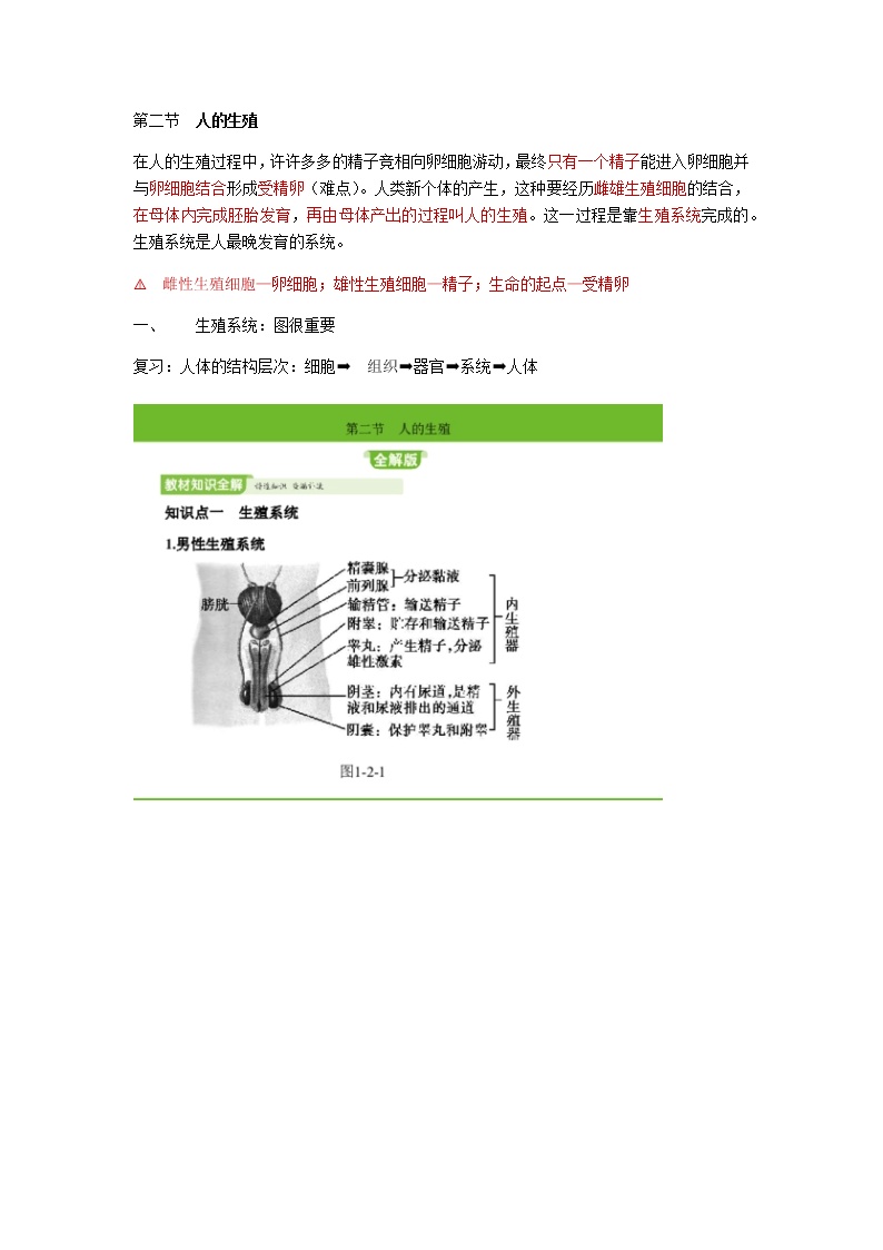 人教版生物七年级下册第四单元第一章第二节《人的生殖》知识点