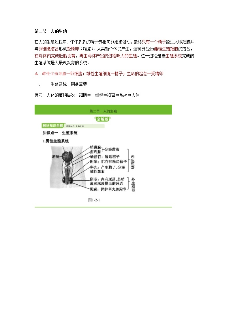 人教版生物七年级下册第四单元第一章第二节《人的生殖》知识点01