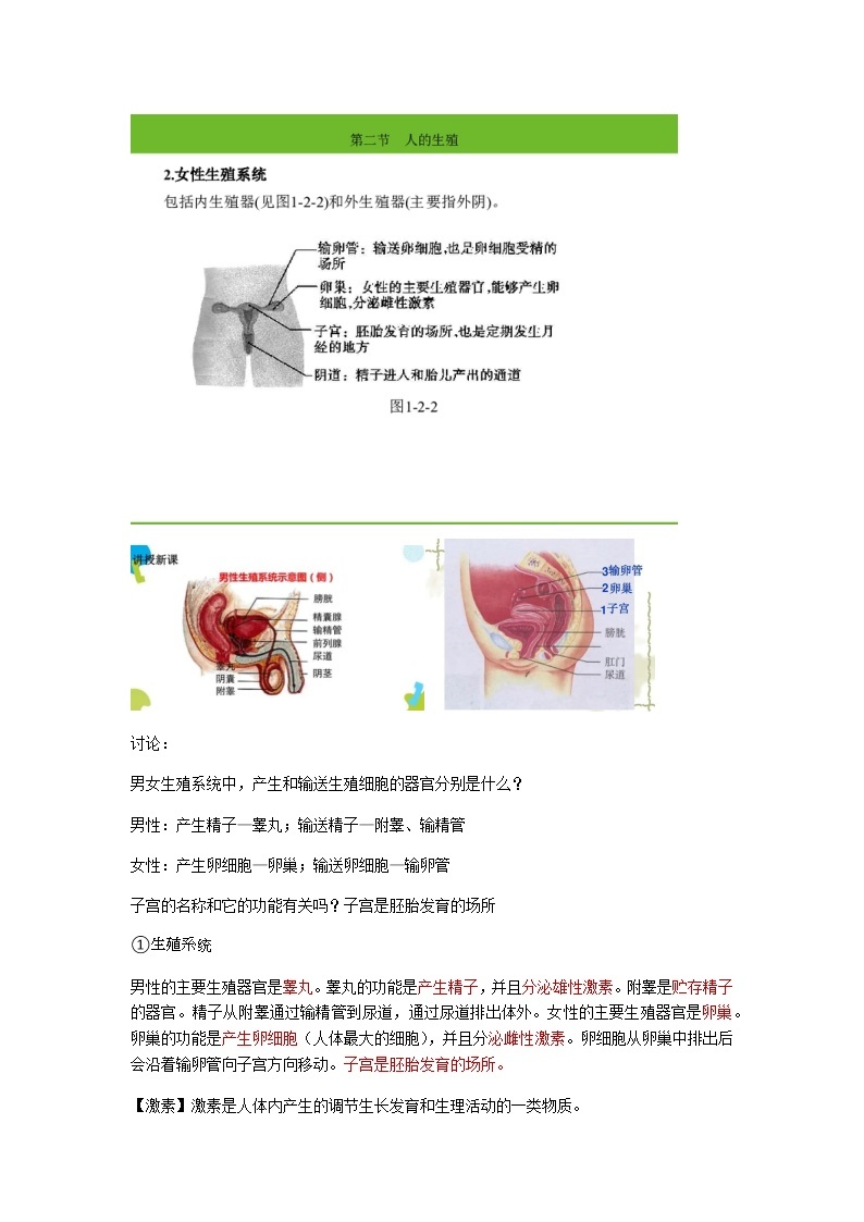 人教版生物七年级下册第四单元第一章第二节《人的生殖》知识点02