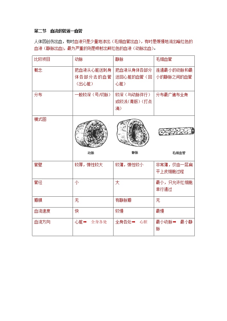 人教版生物七年级下册第四单元第四章第二节《血流的管道—血管》知识点