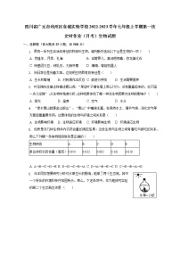 四川省广元市利州区东城实验学校2022-2023学年七年级上学期第一次定时作业（月考）生物试题 (含答案)