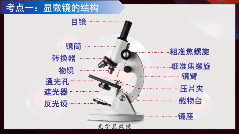 七上 二单元第一章复习课件PPT03