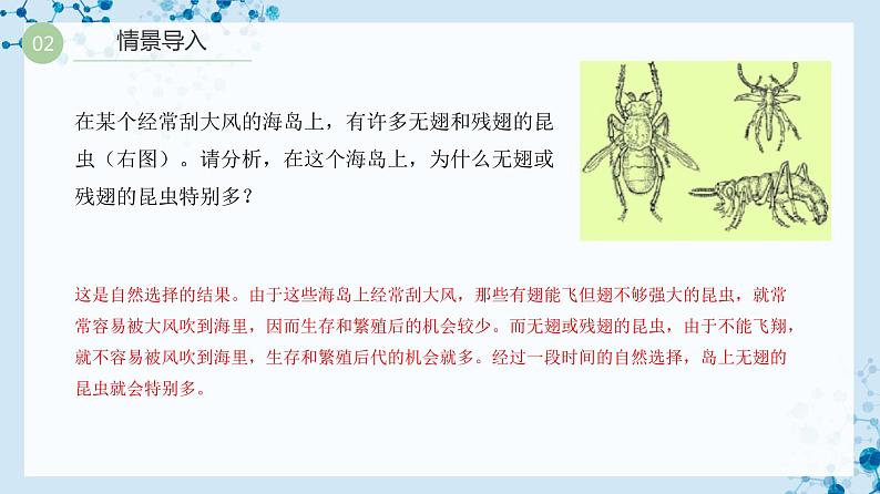 【人教版】八下生物 7.3.3 生物进化的原因(课件+同步练习)03