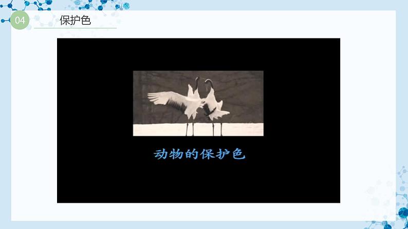 【人教版】八下生物 7.3.3 生物进化的原因(课件+同步练习)07