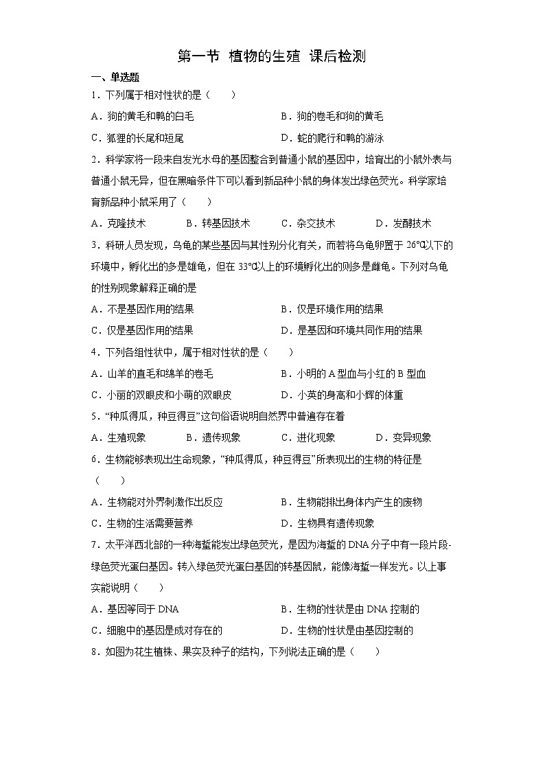 7.2.1 基因控制生物的性状(练习)(原卷版)第1页