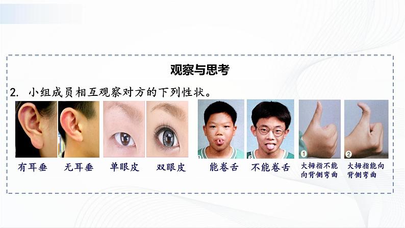 7.2.1 基因控制生物的性状第6页