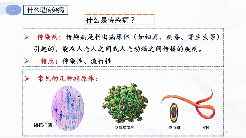 人教版八下生物8.1.1《传染病及其预防》课件+同步练习06