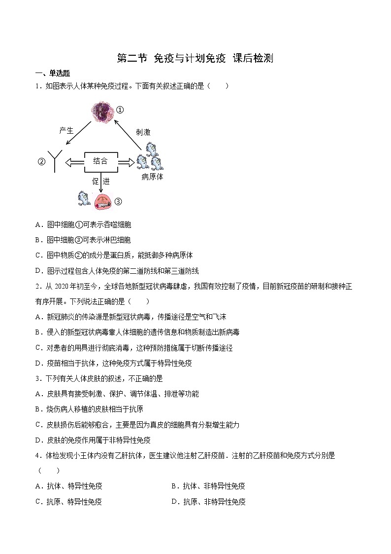 8.1.2 免疫与计划免疫(练习)(原卷版)第1页