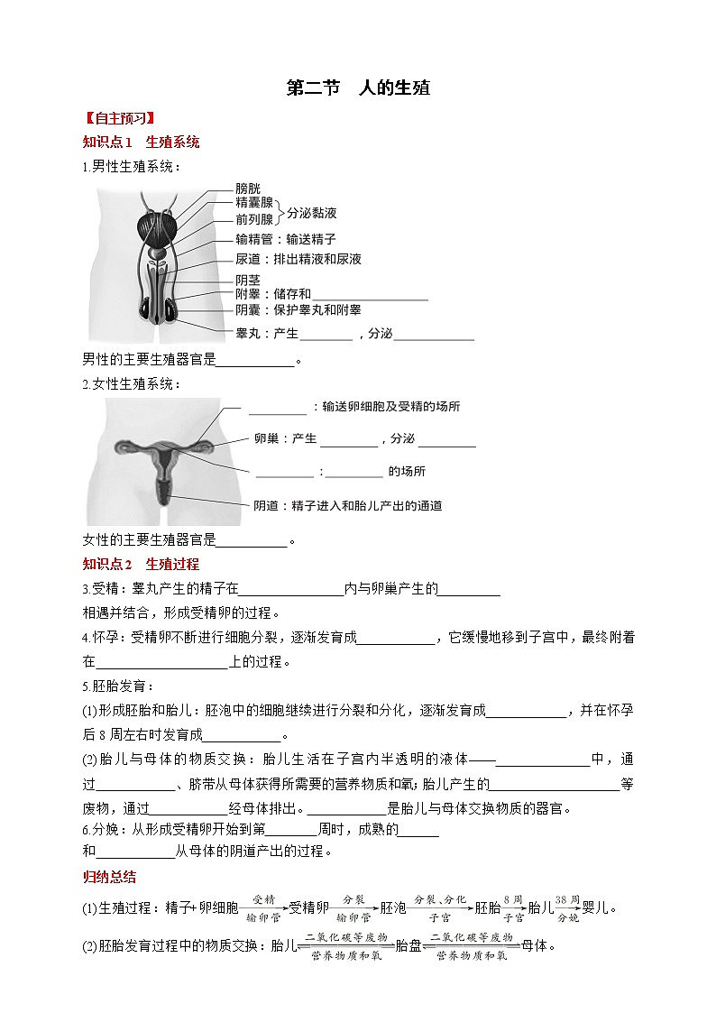 人教版生物七年级下册同步练习4.1.2 人的生殖第1页