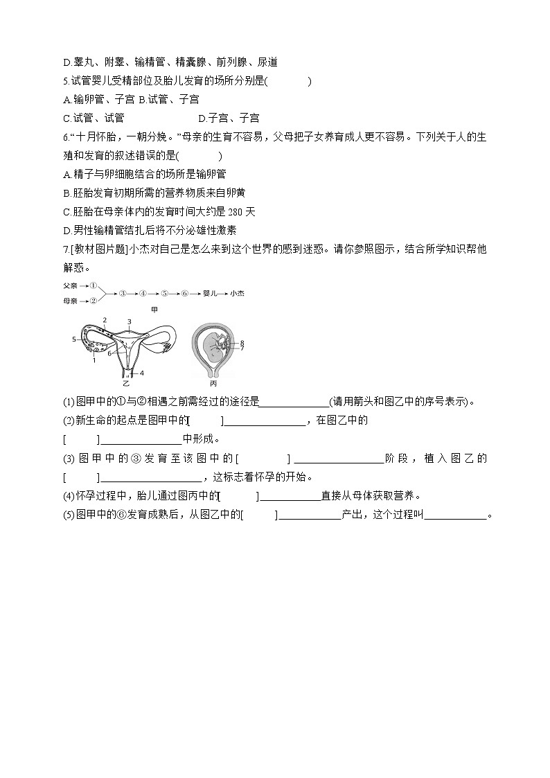 人教版生物七年级下册同步练习4.1.2 人的生殖第3页