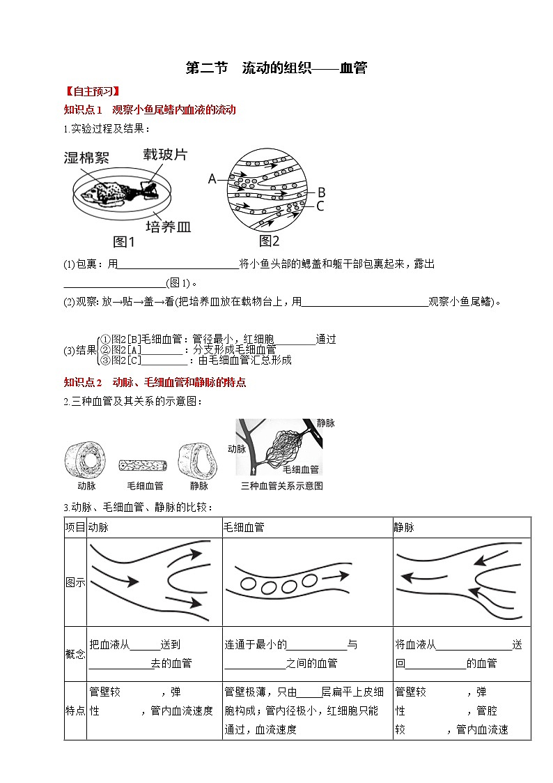 人教版生物七年级下册同步练习4.4.2 流动的组织——血管第1页
