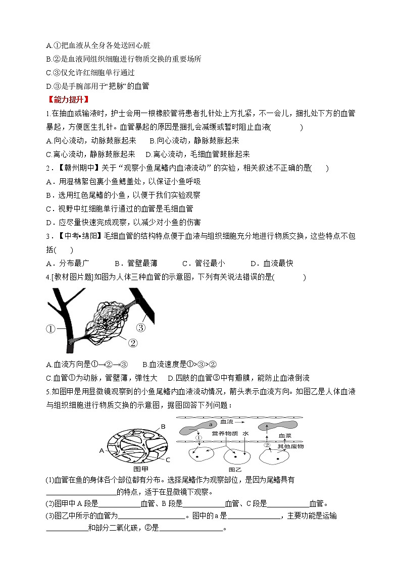 人教版生物七年级下册同步练习4.4.2 流动的组织——血管第3页