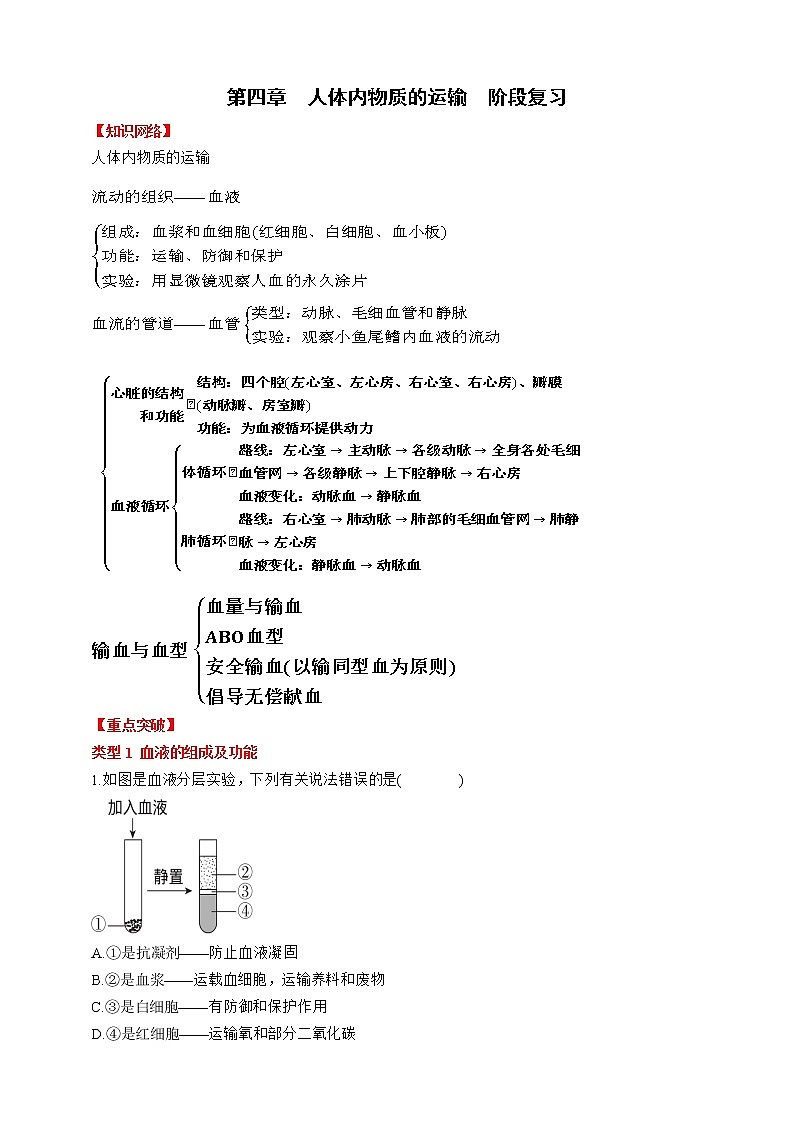 人教版生物七年级下册同步练习 第四章 人体内物质的运输 阶段复习第1页