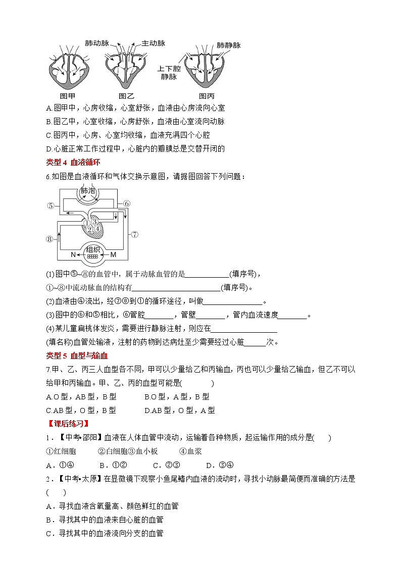 人教版生物七年级下册同步练习 第四章 人体内物质的运输 阶段复习第3页