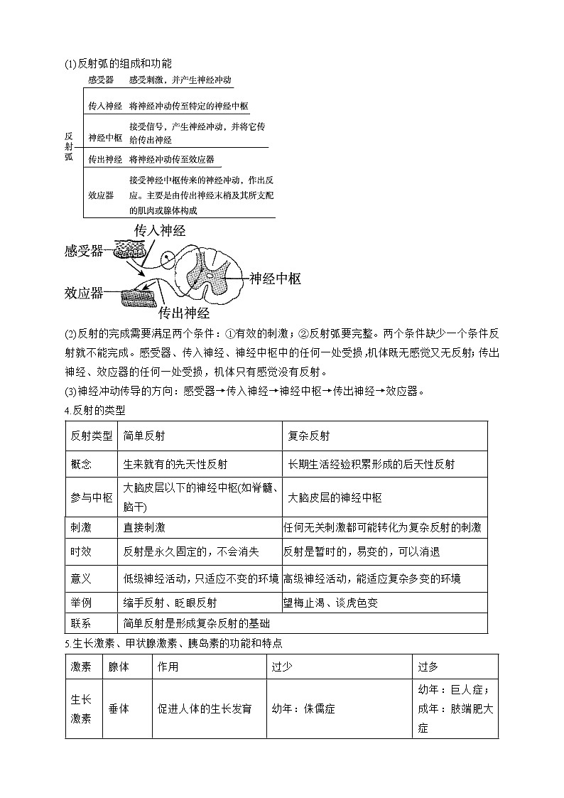 人教版生物七年级下册同步练习第六章 人体生命活动的调节 阶段复习第2页
