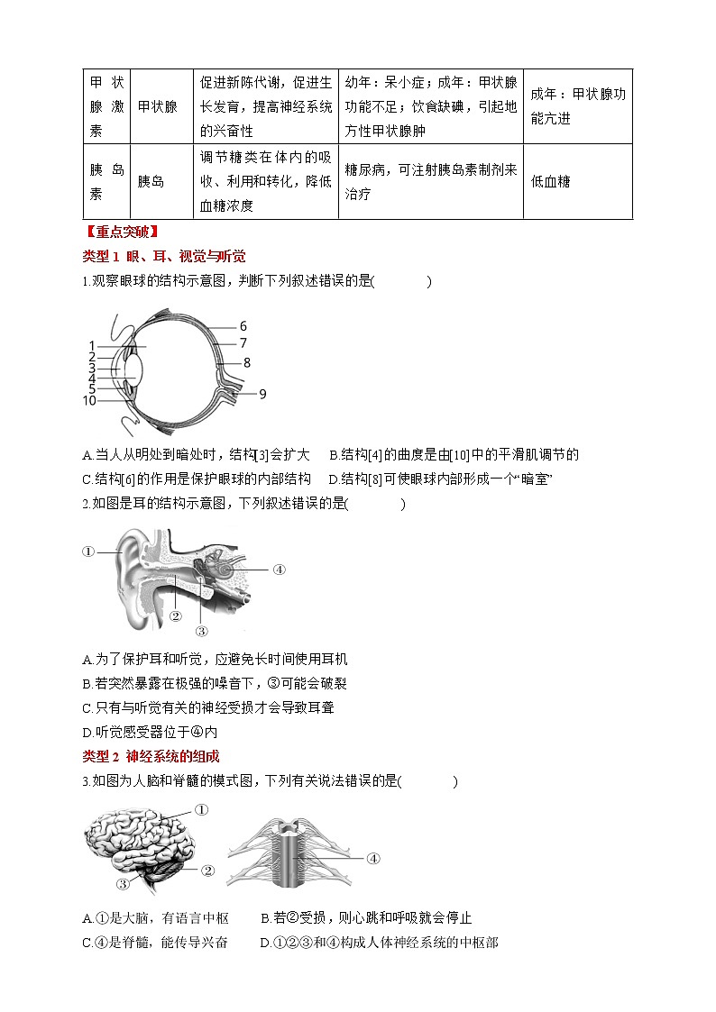 人教版生物七年级下册同步练习第六章 人体生命活动的调节 阶段复习第3页