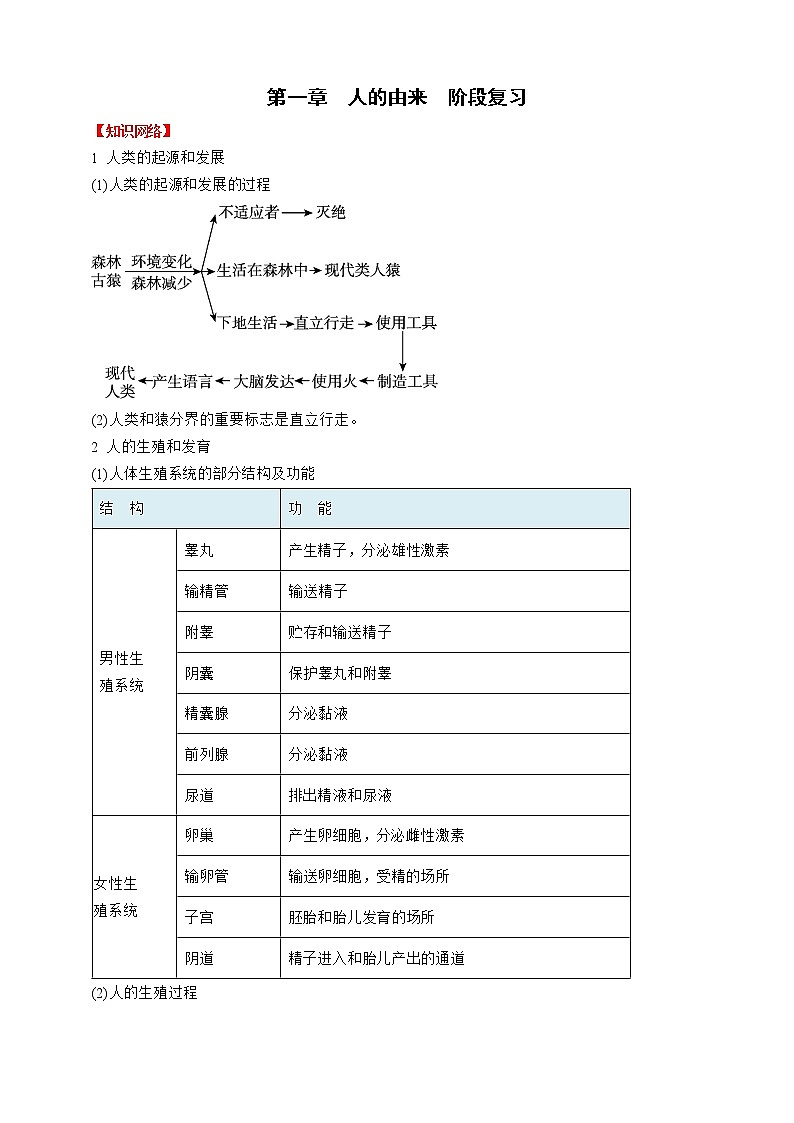 人教版生物七年級下冊 第一章 人的由來 階段復習第1頁
