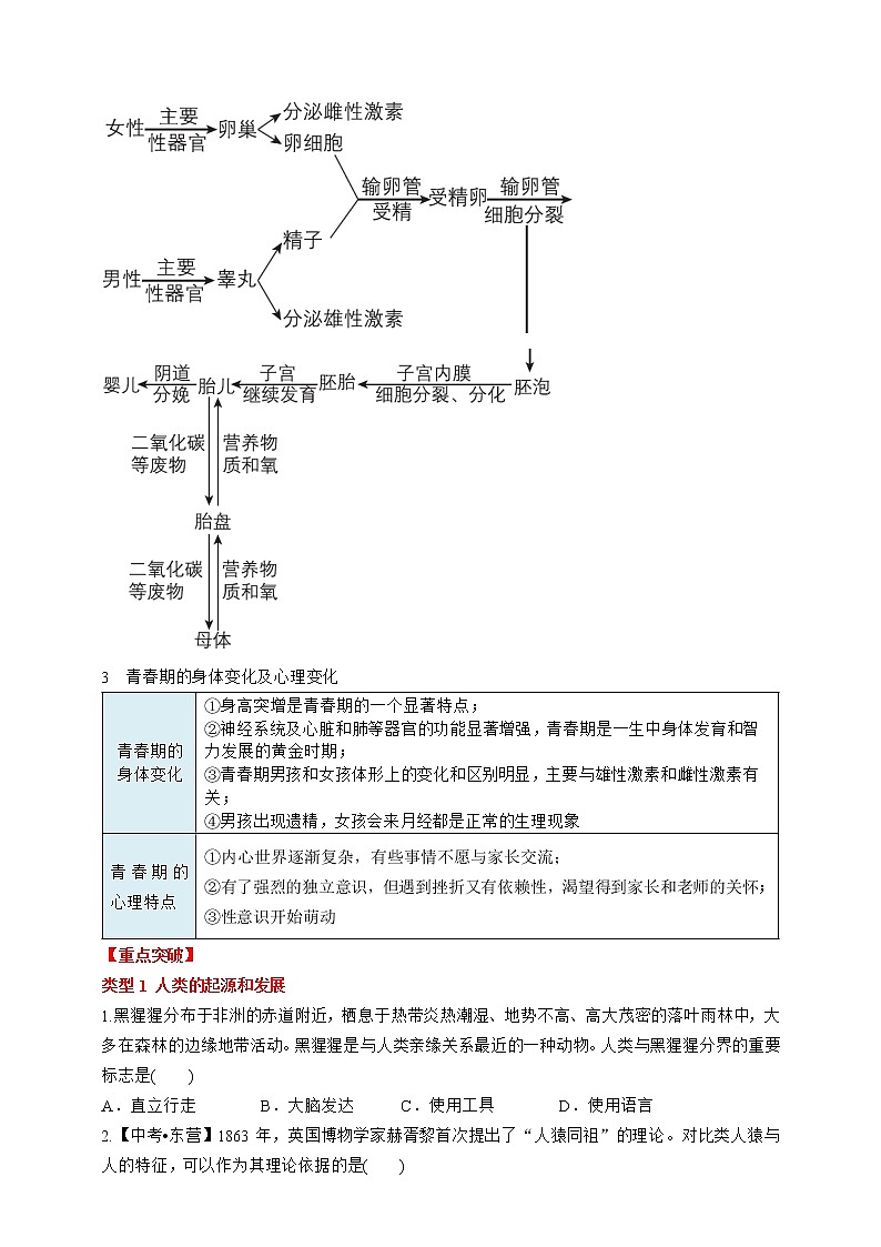 人教版生物七年級下冊 第一章 人的由來 階段復習第2頁