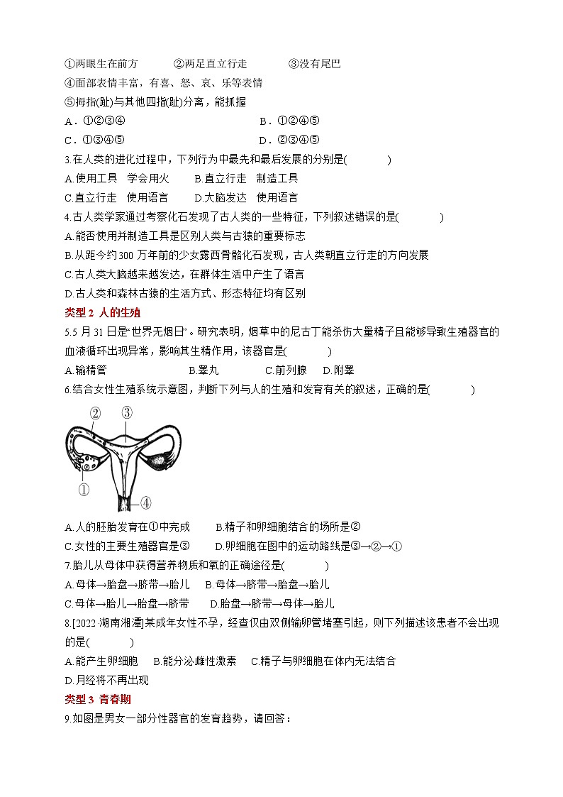 人教版生物七年級下冊 第一章 人的由來 階段復習第3頁
